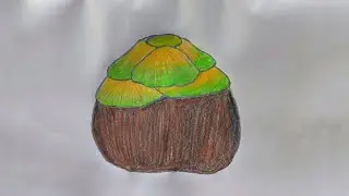 তাল  আঁকার কৌশল How to draw palm fruit (step by step) very easy biggenars 