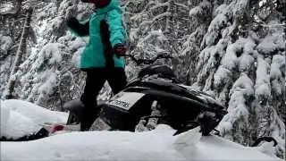 Sledding in the Backcountry Sweden Snowmobile