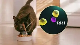 &iexcl;Ya est&aacute; aqu&iacute; Purina&reg; ProPlan&reg; Liveclear!
