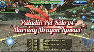 Paladin Pet Solo vs Burning Dragon Igneus &ndash; Can It Survive the Burn Damage? | Toram Online
