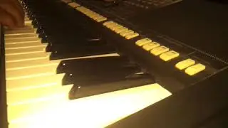 زحمة يا دنيا زحمة عزف موسيقى music zahma sha3by