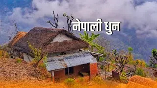 Nepali Flute Music|Himalayan Flute Music बाँसुरी Nepali Folk Nostalgia | Folk Nepali Dhun