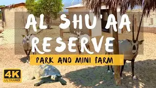 AL SHUAA RESERVE Park Al Khor | Must Visit Place in Qatar | Family - Friendly Mini Park and Farm