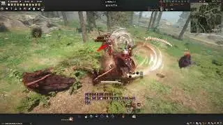 BDO Awk Warrior Dehkia Ash Forest 14000/hr lv2 검은사막 각성 워리어 데키아 잿빛숲