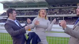 Cheltenham Racecourse - A day at the races