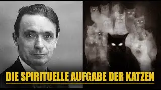 Die geheime spirituelle Mission der Katzen (Warum sie genau dich gew&auml;hlt haben)
