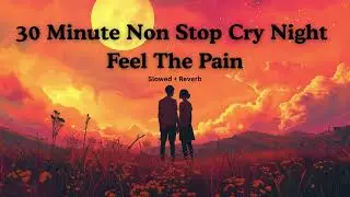 Midnight Cry | 30 Minutes Lofi Heartbreak Mashup Slowed
