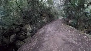 Lady Carrington walking path- Sydney National Park