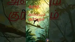 நிதானமே வெல்லும்: குரங்கும் ஆமையும் தரும் வாழ்க்கை பாடம்|Tamil moral stories|life lessons stories
