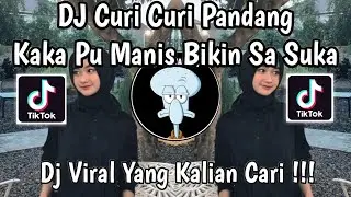 DJ KAKA PU MANIS BIKIN SA SUKA | DJ CURI CURI PANDANG VIRAL TIKTOK TERBARU 2026 !