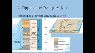 10.4 The Ordovician through Devonian Periods