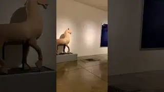 Cai Guo-Qiang - A Material Odyssey