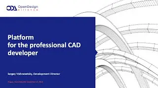 Platform for the professional CAD developer