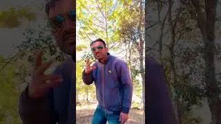 dop shop yo yo#song #shorts #subscribe #shortsviral #status #songlove &hearts;️&hearts;️&hearts;️👍👍