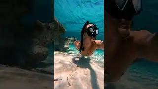 Amazing Snorkeling At CocoCay!