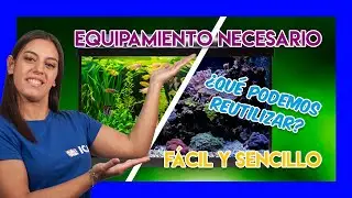 Convertir acuario de agua dulce en acuario marino