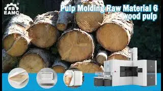 Pulp Molding Raw Material 6: wood pulp