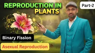 🌱 Reproduction in Plants | Class 7 & 8 Science | Easy Explanation