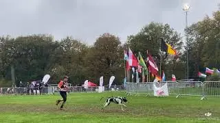 Championnat d’Europe de Canicross et Canivtt