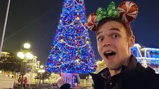 Walt Disney World Solo Vlog | Day 4 | Animal Kingdom and Mickey's Very Merry Christmas Party