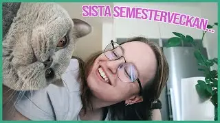 SEMESTERVLOGG | IBLAND BLIR DET INTE SOM PLANERAT