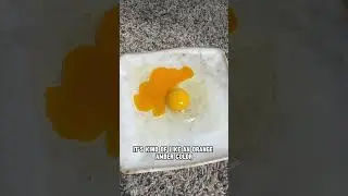 FARM FRESH VS. STORE BOUGHT EGGS 🧐🍳 #shorts #realfood