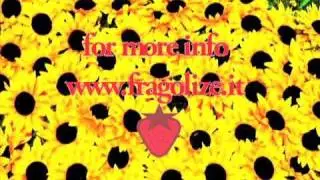 Sunflower @ Manduca (Firenze) 29 maggio 2011! (official video)