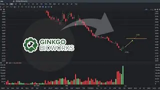 DNA Stock Price Prediction: Still Go Up? | DNA stock analysis