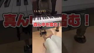真ん中ペダル踏むとどうなるの？👍🌈#ピアノ初心者  #ペダル  #桜