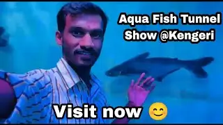Aqua Fish Tunnel show @kengeri | First time in Bangalore  #shorts #video #bangalore #aquarium