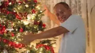 O Christmas Tree