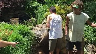 Pond Repair Service in Alexandria VA (Improving A Paradise!)
