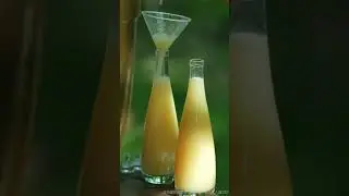 早秋红毛丹酿酒，快乐buff我叠满了 #diy #vlog #fypシ゚viral #craft