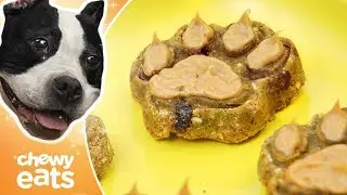 Easy Recipe for Peanut Butter Dog Biscuits  | Chewy Eats