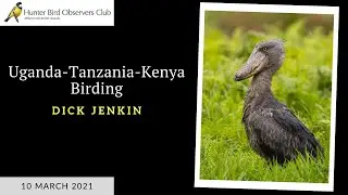 Birding in Uganda, Tanzania & Kenya - Dick Jenkin