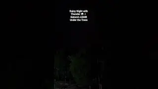 Night Rain & Thunder Under the Trees 🌧️⚡ Calm Storm Vibes #rain #whitenoise