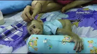 Baby Mori​​​ And Dodo Playing In Relaxing Time Very Happy