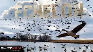 ЛУЧШИЕ кадры ОХОТЫ НА ГУСЕЙ на YT! НЕПРЕРЫВНЫЕ МЕГАСТОЙНЫЕ СТАЙКИ на ПАЛУБЕ!