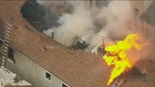 Cat saved from Chicago house fire