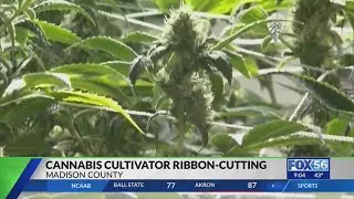 Officials to cut ribbons for central Kentucky cannabis cultivator, medical dispensary