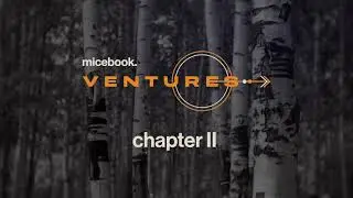 micebook Ventures Chapter II