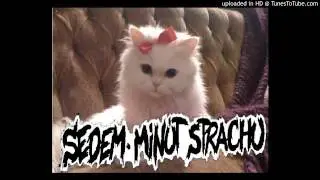 SEDEM MIN&Uacute;T STRACHU - LIVE DEMO 2012