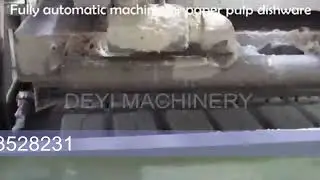 automatic paper pulp plate/cup/bowl/lunch food box making machine