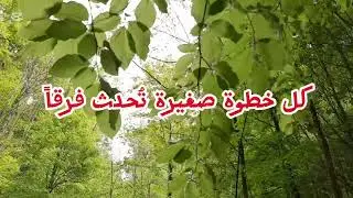 #english #learning #arabic #learning #motivation #video #viral #video 