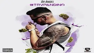 Dii Angel - OtraVez #TrvpAndino 🔥 #HOA4life