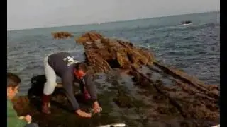 Pesca de Salemas en Guadalmesí.wmv
