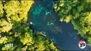 Explore Florida's hidden outdoor gems, travel expert advises