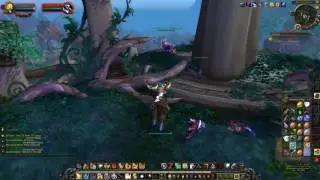 Waiting For Revenge Quest ID 41109 Playthrough Suramar