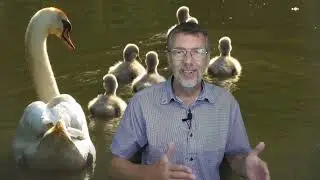 Geef niet op! Vertrouw en geloof God. Alles komt goed!