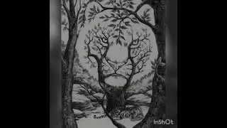 Visions [By The SolarFalcon]